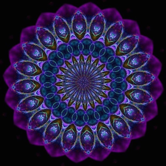 Meet your Posher, Posh - Picture 1 of 1